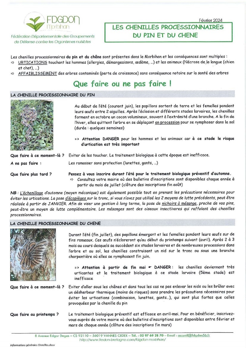 24_processionnaire