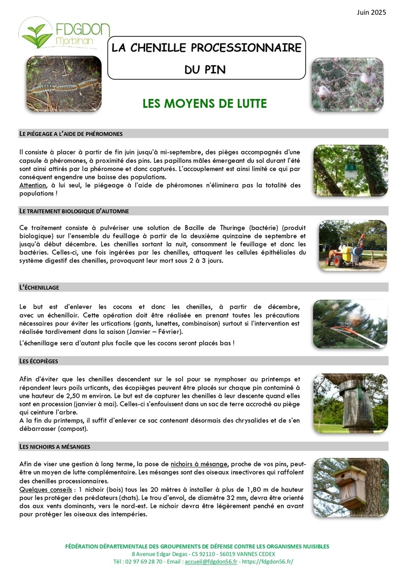 25_7_FICHE LES MOYENS DE LUTTE - CHENILLES DU PIN_page-0001