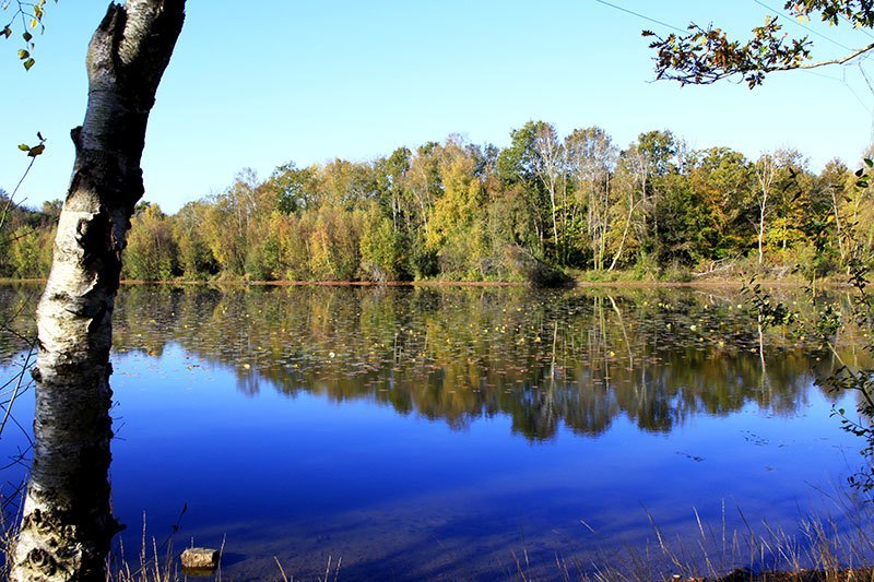 Etang-de-Kernevy