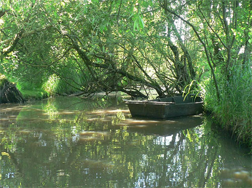 Les marais de Vilaine