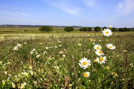 Campagne-Dolaysienne