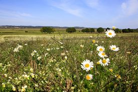 Campagne-Dolaysienne